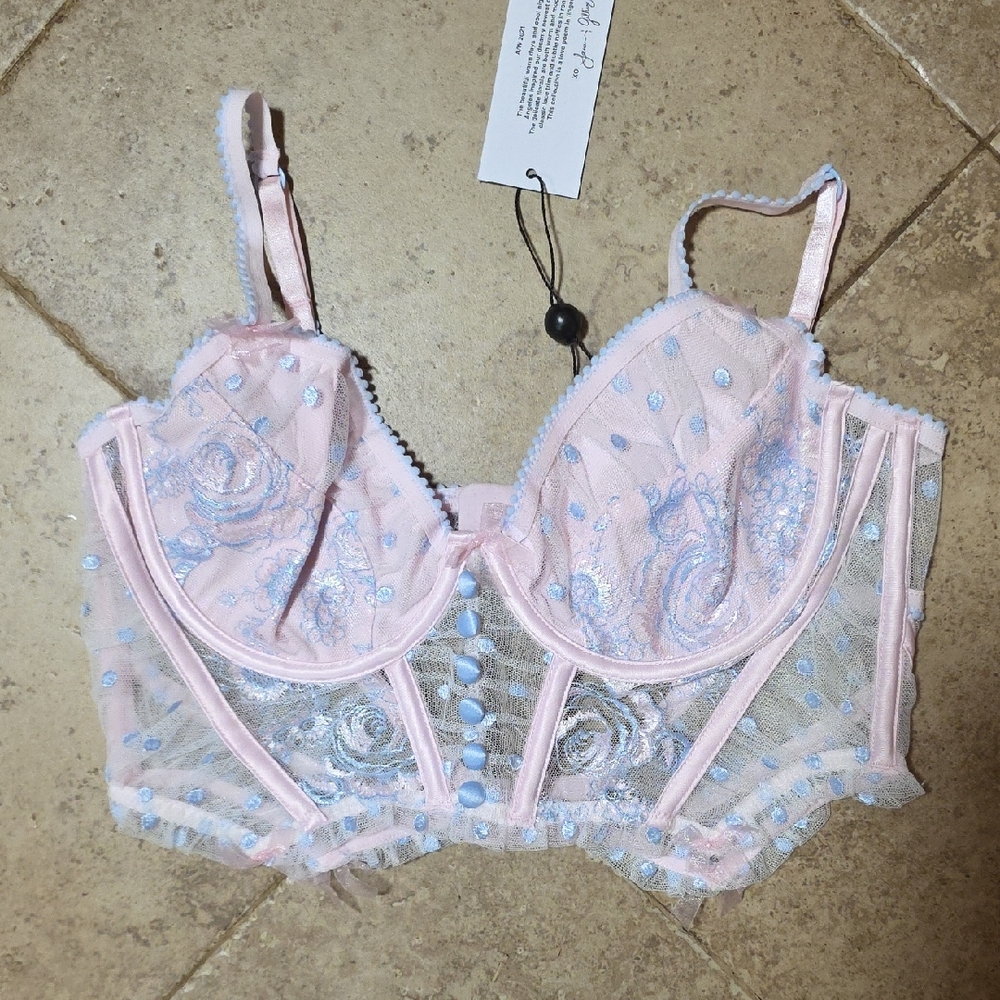 For Love And Lemons Pink and Light Blue Embroidered Longline Bra